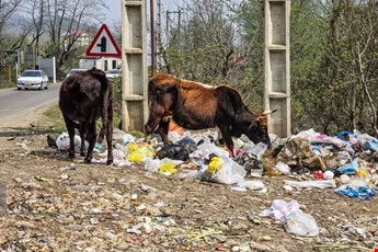 هدیه شوم حضور گردشگران در مازندران !