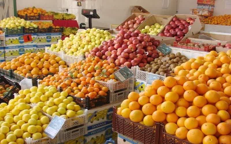 رونق کشاورزی در محمودآباد با تولید بیش از ۱۷۰ هزار تن محصول
